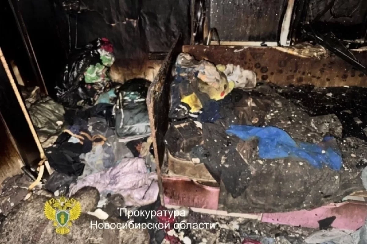 Стали известны подробности поджога дома в селе Новосибирской области