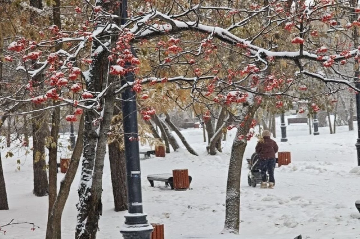 В Томске в четверг ожидается до +4°С и мокрый снег