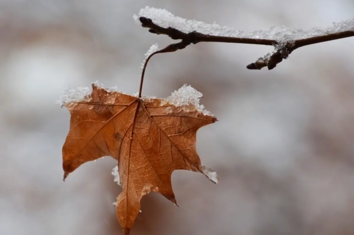 В Оренбуржье весь день прогнозируется мокрый снег и гололёд
