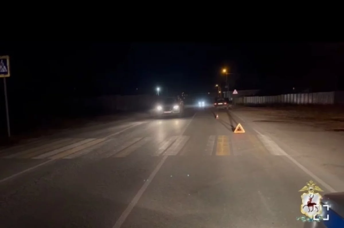 Двух пешеходов сбил водитель в Нижегородской области