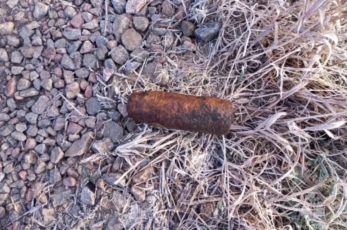 Брянские спасатели обезвредили боеприпас времен Великой Отечественной войны