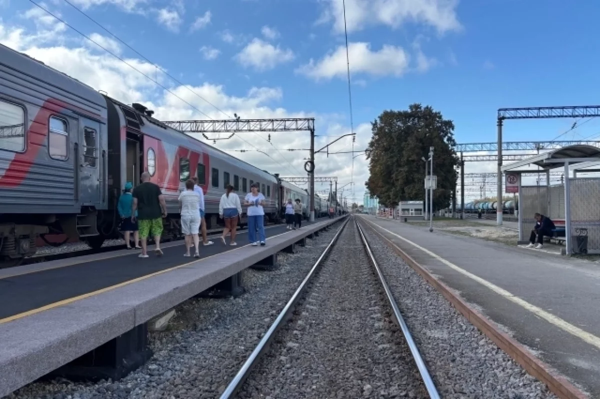 Поезд из Москвы прибыл в Санкт-Петербург с опозданием почти на два часа