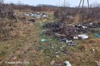 В непосредственной близости от поселка обнаружена стихийная свалка в овраге.
