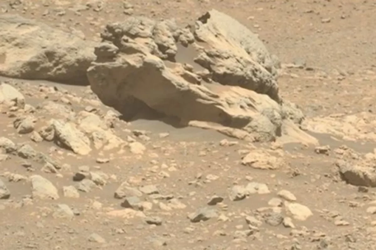 НАСА обнаружило на Марсе «неместный» камень — возможно, фрагмент метеорита с Земли или астероида