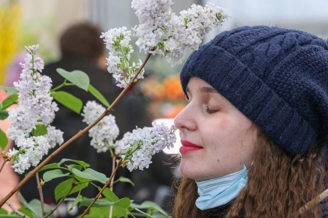 Из года в год в конце ноября в донском регионе распускаются цветы и наступает «вторая весна»