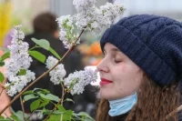 Из года в год в конце ноября в донском регионе распускаются цветы и наступает «вторая весна»