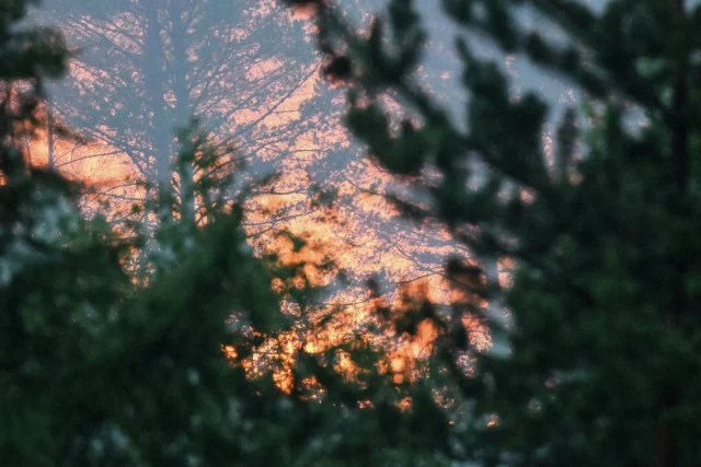 Лесной пожар в Забайкальском крае. Лесной пожар на площади 100 гектаров тушат в 2,6 километра от поселка Атамановка.