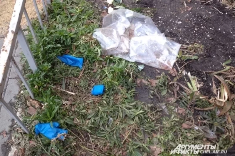 Кто-то оставил на месте убийства две белых розы.