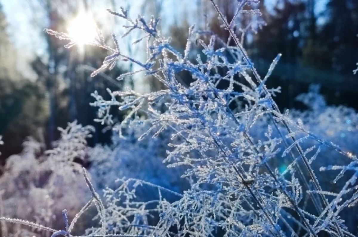 Брянскую область 25 ноября ждут температурные качели