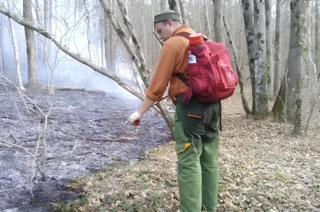 Борьба с этими ноябрьскими пожарами осложнялась труднодоступностью местности во многих местах и ветром. 