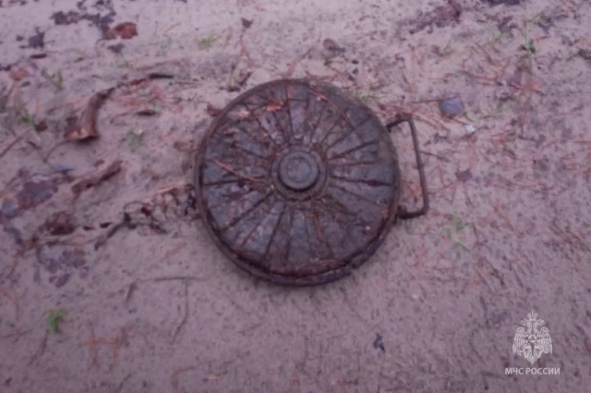 Два мины времен Великой Отечественной войны обезвредили на Брянщине