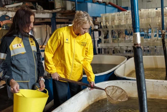 В нефтяной компании реализуют политику ответственного природопользования – помогают восстанавливать редкие виды рыб и заботятся об экологии.