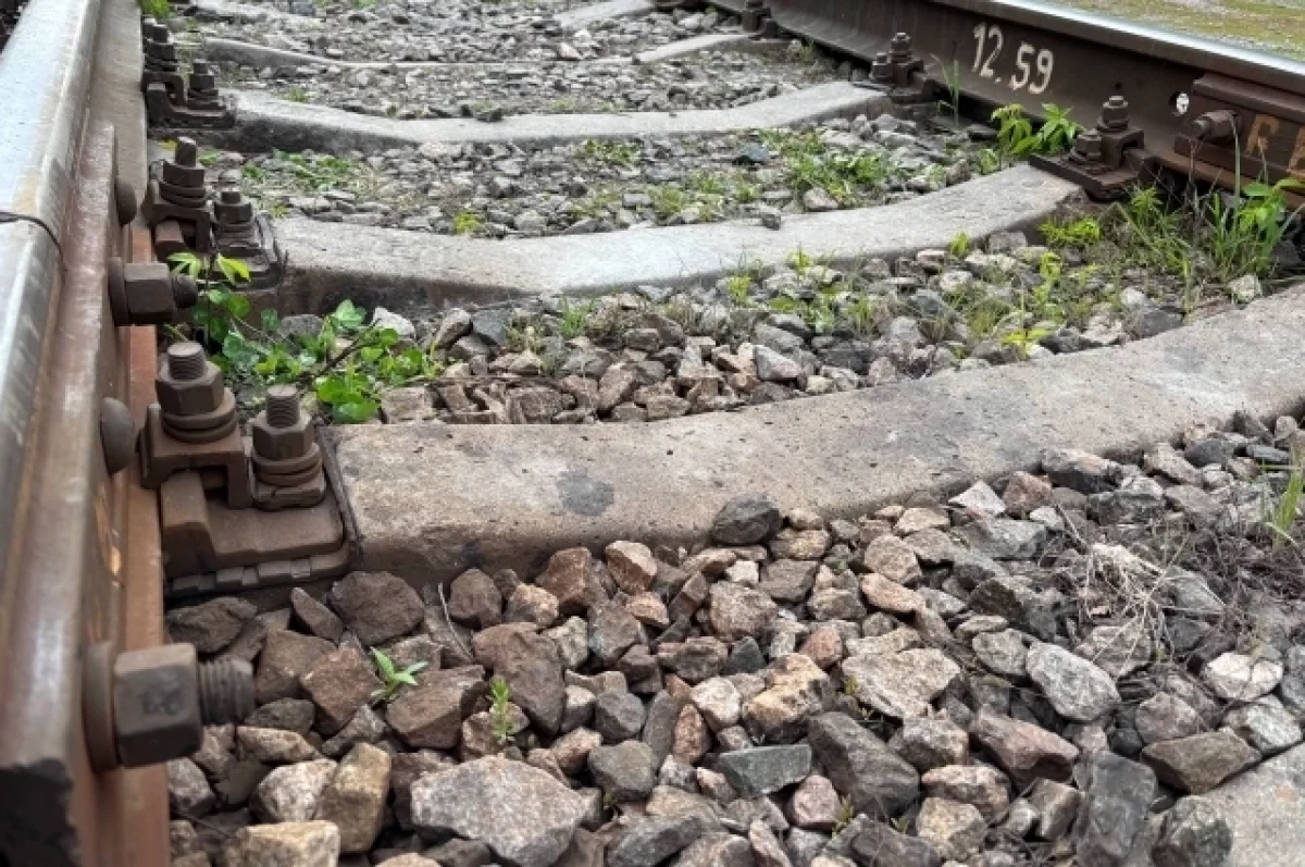 Латвия планирует разобрать железную дорогу, ведущую в Россию