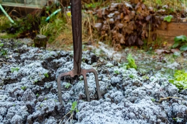 Для глинистых участков полезно добавить речной песок или структурирующие грунты. Смешивать лучше вилами, чтобы не разрушать естественные поры.