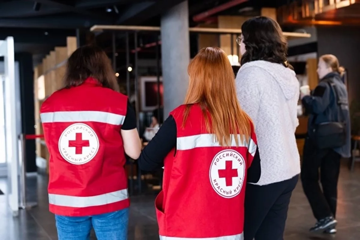 Жить, а не выживать: когда тишина становится лекарством