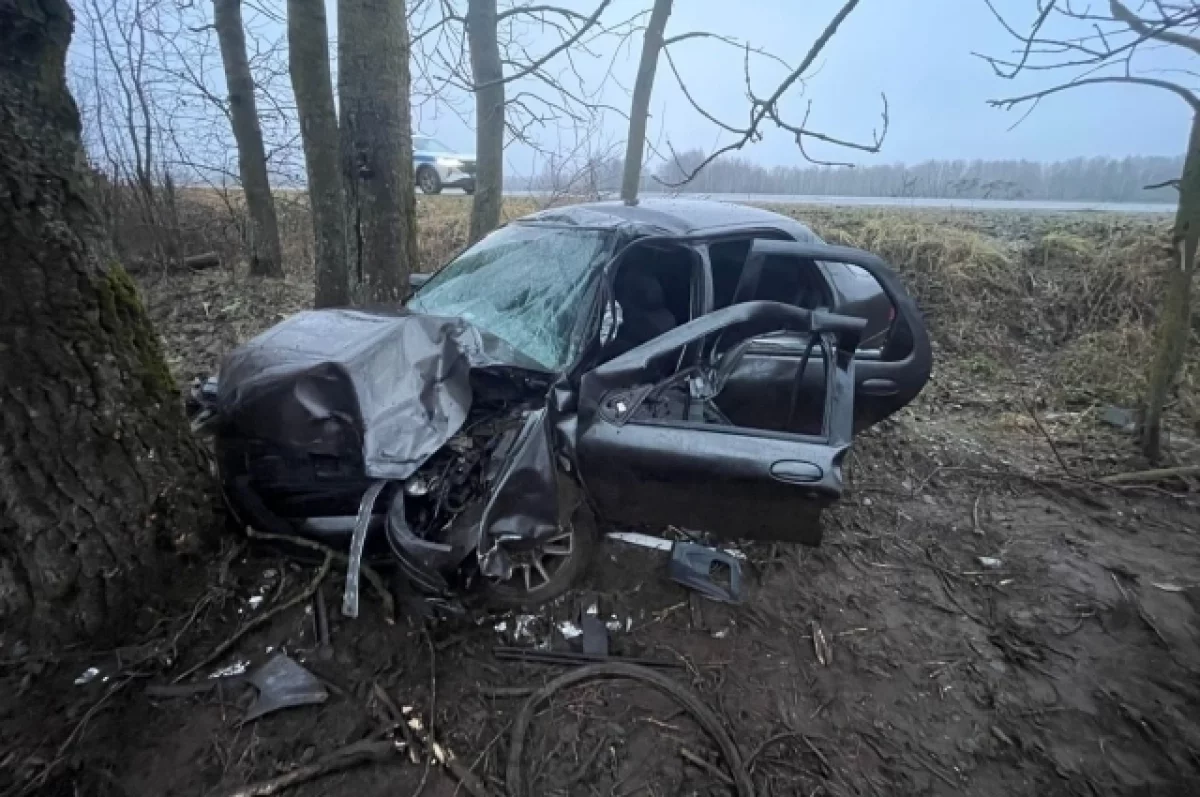 Пьяный водитель вылетел в кювет и врезался в дерево под брянской Дубровкой