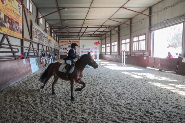 В Москве и области существует немало конных клубов и школ верховой езды.