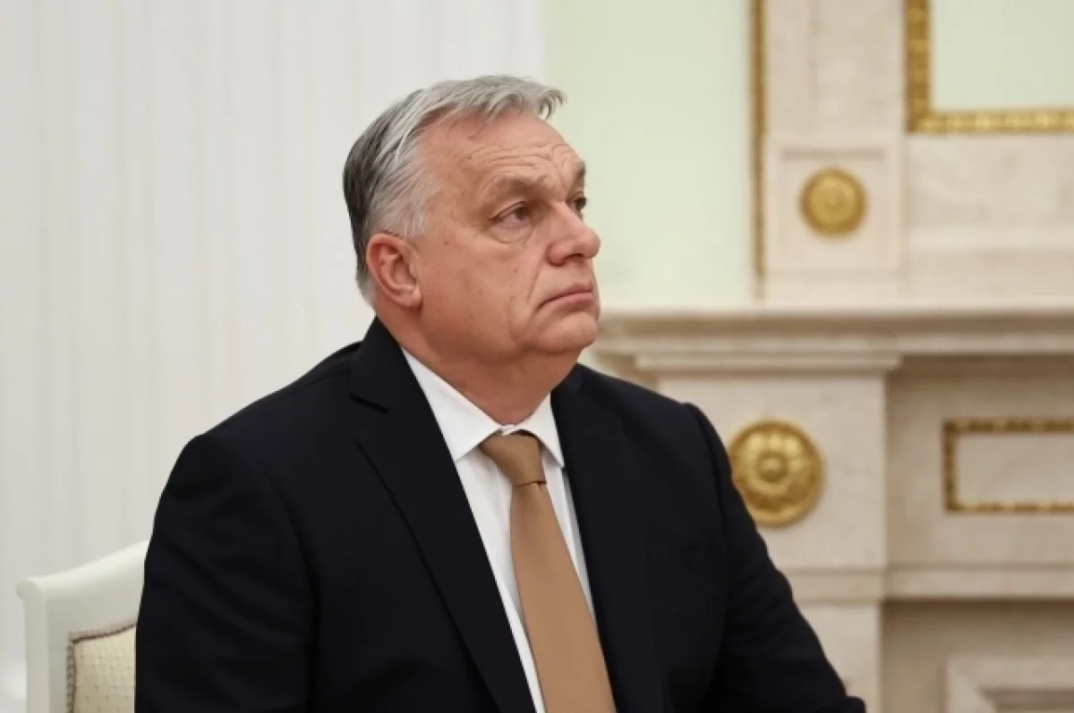 Стало известно меню ужина Орбана после переговоров с Путиным