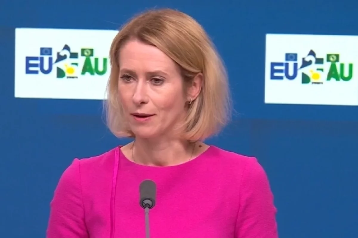 Вассерман: Каллас лжет о нападении РФ на 19 стран из-за отсутствия страха