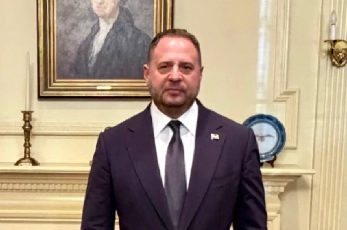 Эксперт Роу-Крайнз: отставка Ермака ослабит позицию Зеленского