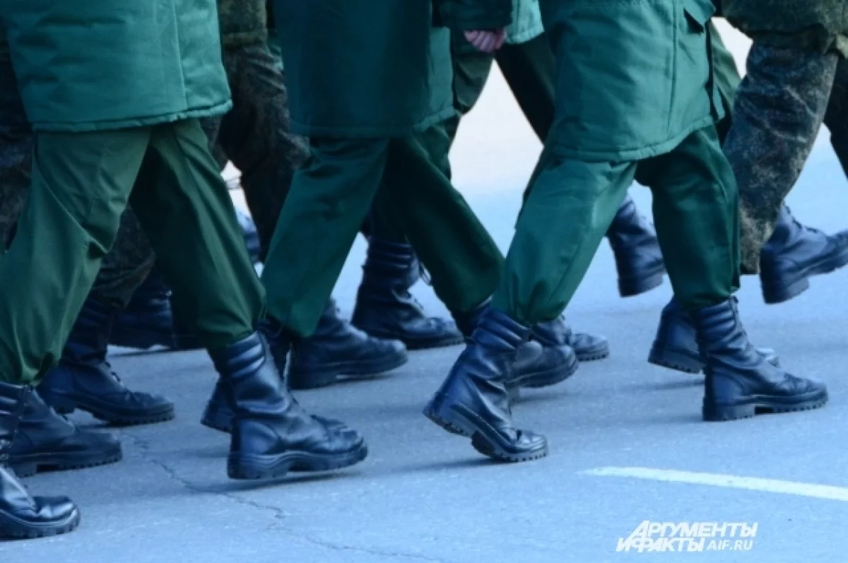 Государственный архив Новосибирска: сохранение памяти о СВО Сотрудник архива Новосибирской области работает с документами участников СВО