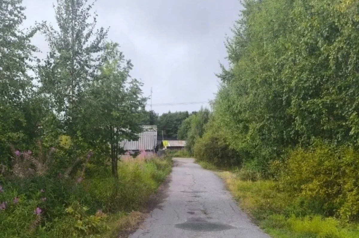Жители Карелии просят сделать дорогу в Рабочеостровск