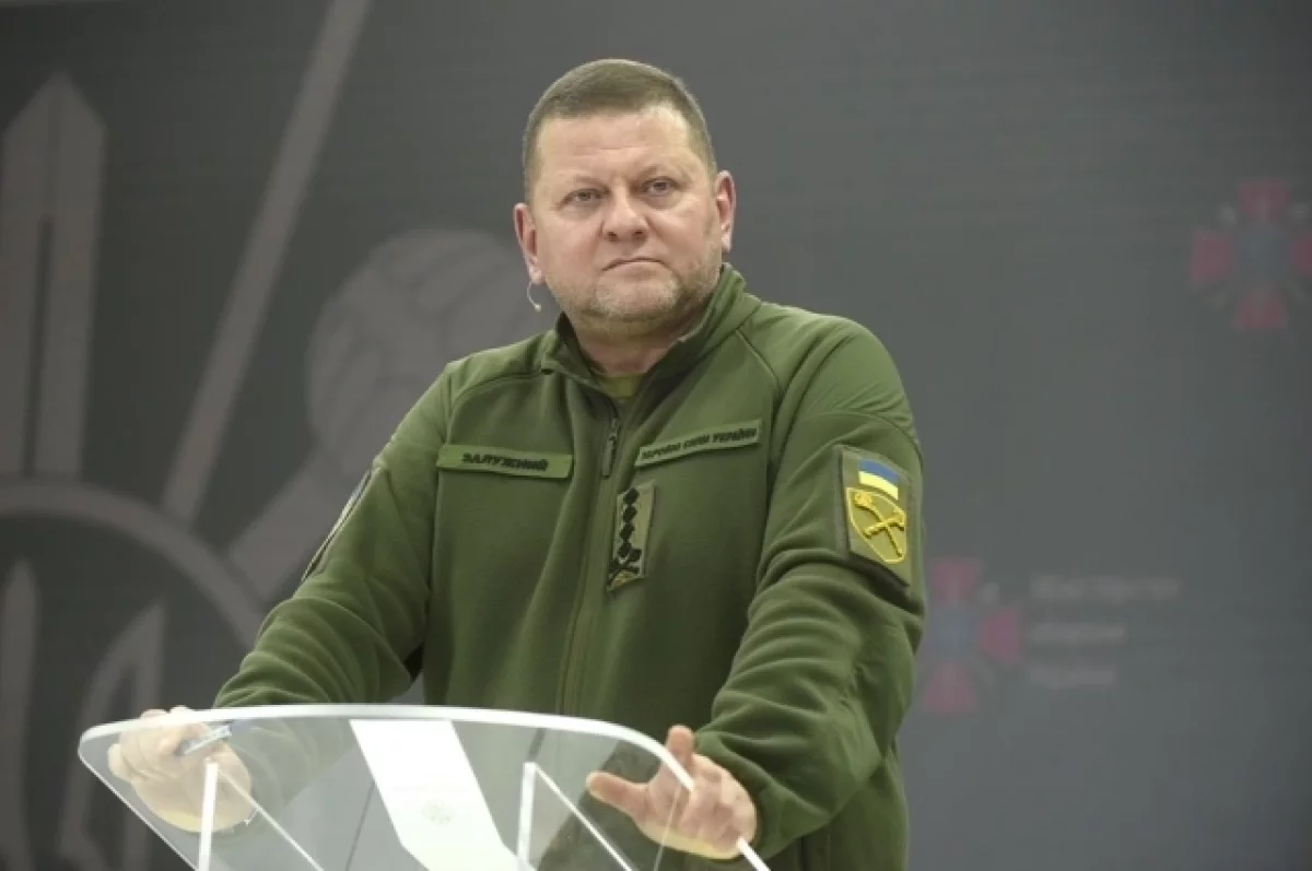 Залужный считает ядерное оружие на Украине гарантией безопасности