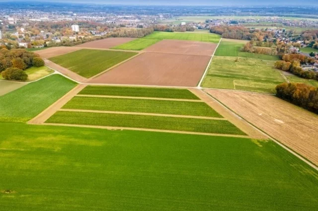 Механизмы наделения земельными участками участников СВО находятся в компетенции региональных властей.