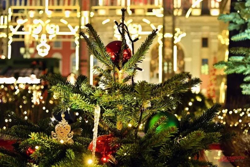 На каждой площадке «Зимы в Москве» - десятки украшенных новогодних ёлок.