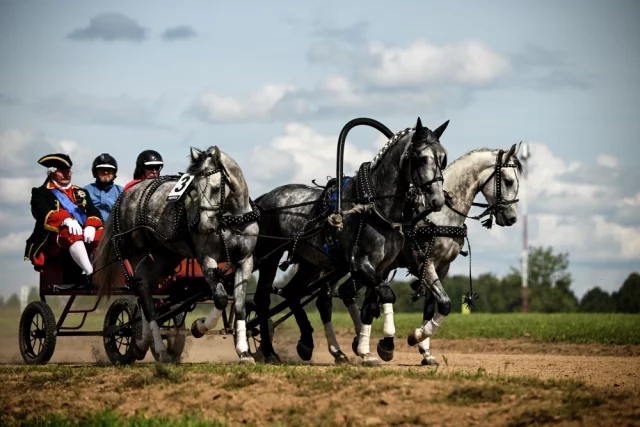 Участники ежегодного конного фестиваля #ORLOVFEST, посвящённого орловской рысистой лошади. Таруса, Калужская область.