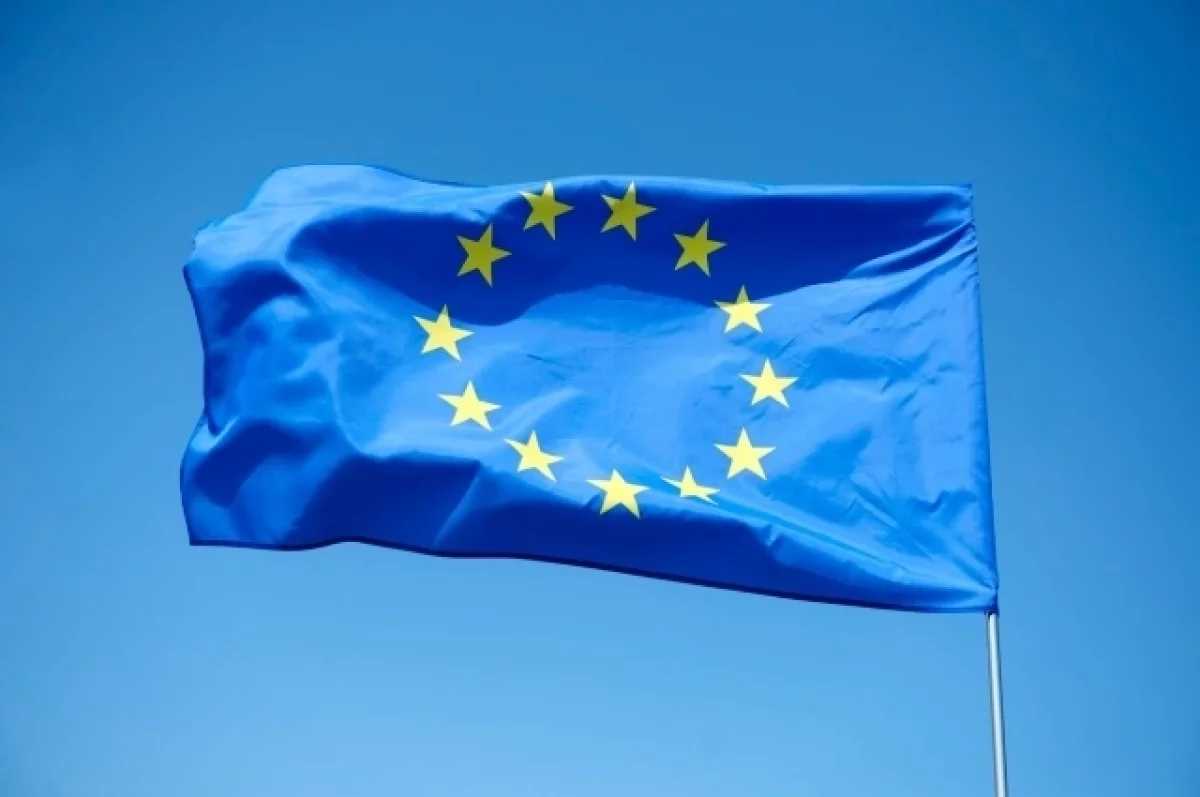 План ЕС о «силах уверенности» на Украине назвали нелепым и вредным