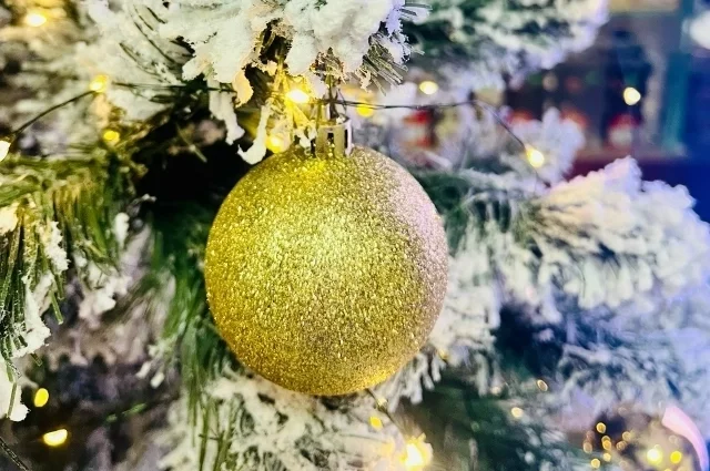 Основные споры традиционно вызывает новогодняя атрибутика — елка, гирлянды, Дед Мороз. 