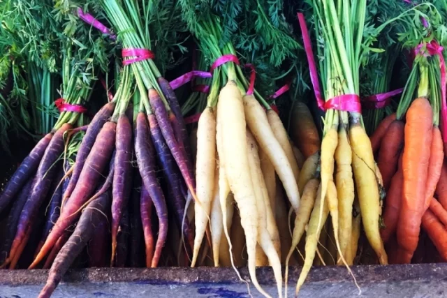 Простота ухода часто дает лучший результат: чем меньше лишних процедур перед весенним ростом, тем выше шансы на ровные всходы и здоровые корнеплоды.