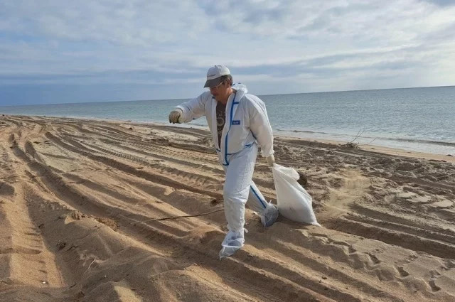 Волонтёры «Сети, сито, лопата» работают на Бугазской косе (Анапа)