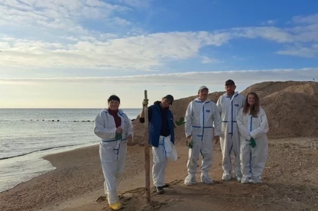 Волонтёры устраняют последствия разлива мазута на Бугазской косе