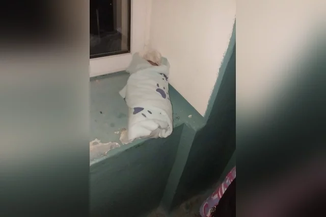 Первое сообщение о плачущем свёртке на подоконнике подъезда появилось в 7:43. 