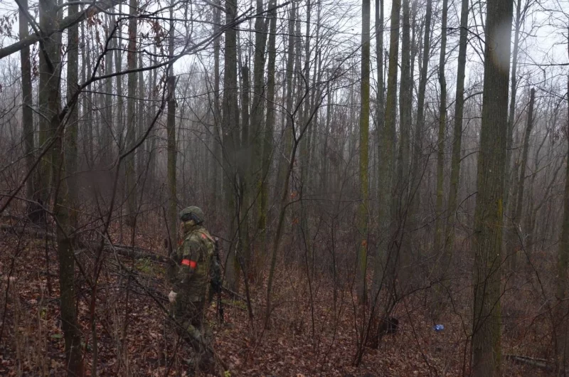 «Лес побит, и мусор кругом».