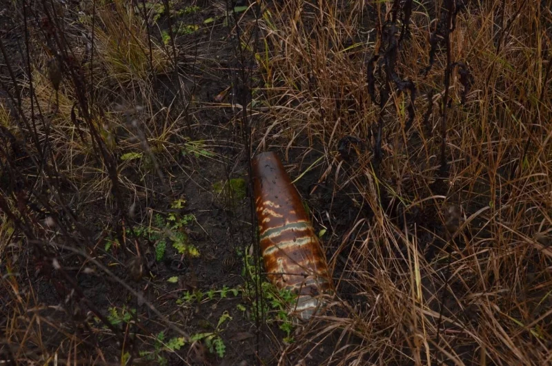 Эхо сражений – один из неразорвавшихся снарядов.