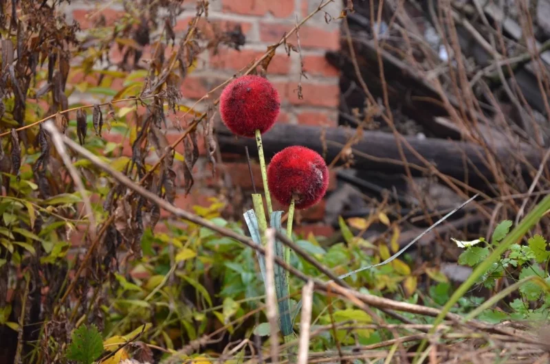 Пластмассовый цветок – ориентир, позволивший найти жертву оккупации.