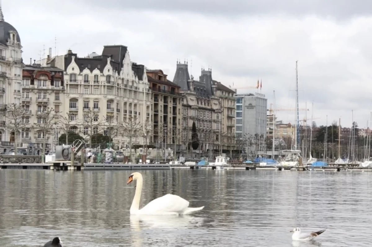 Почти 50% швейцарцев поддерживают ограничение численности населения страны