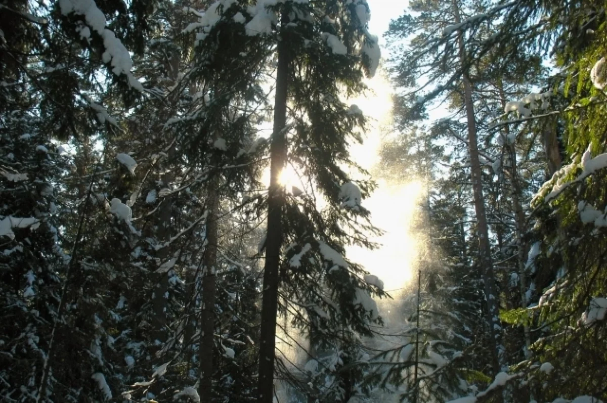 В Приамурье нашли мужчину, выживавшего три дня в тайге в 40-градусный мороз