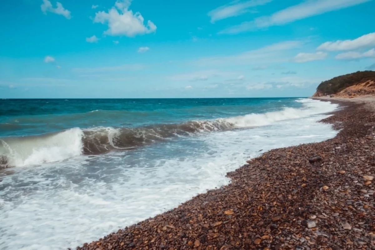Живое море. Стартовал проект по сохранению здоровья Черного моря