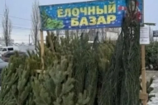 Ели можно купить в течение дня. 