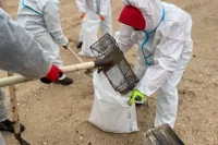 С выбросами мазута боролись всем миром: в ликвидации ЧС участвовали команды муниципалитетов края, спасатели, добровольцы.