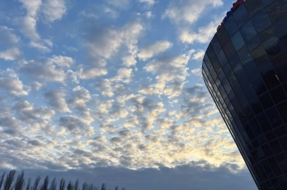 Над Белгородской областью уничтожили шесть БПЛА самолетного типа