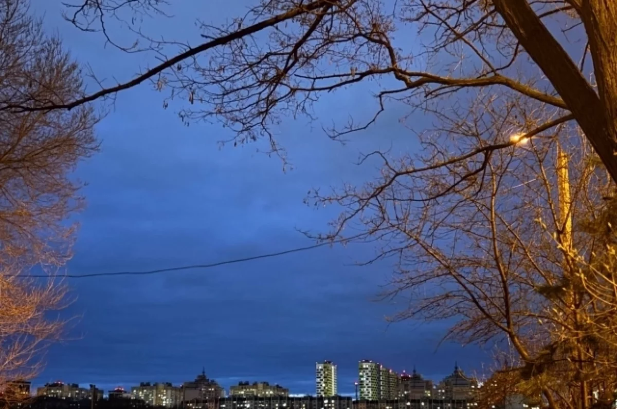 Подразделения ПВО уничтожили 24 БПЛА над Брянской областью