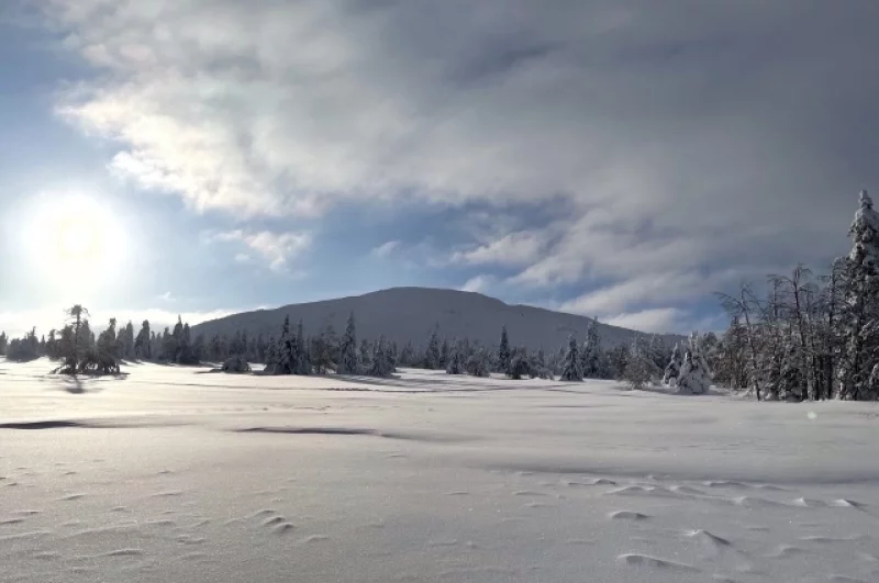Вид на Одинокую гору по пути к Ослянке.