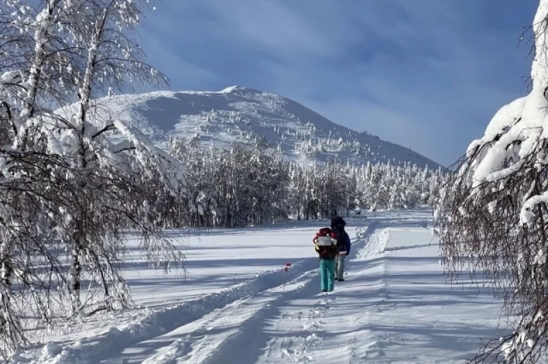 Путь до Ослянки. 