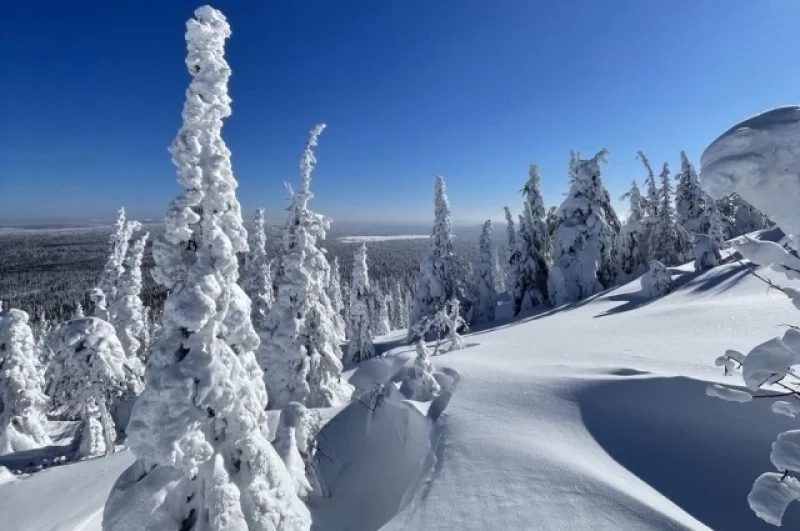 Окрестности Ослянки. 