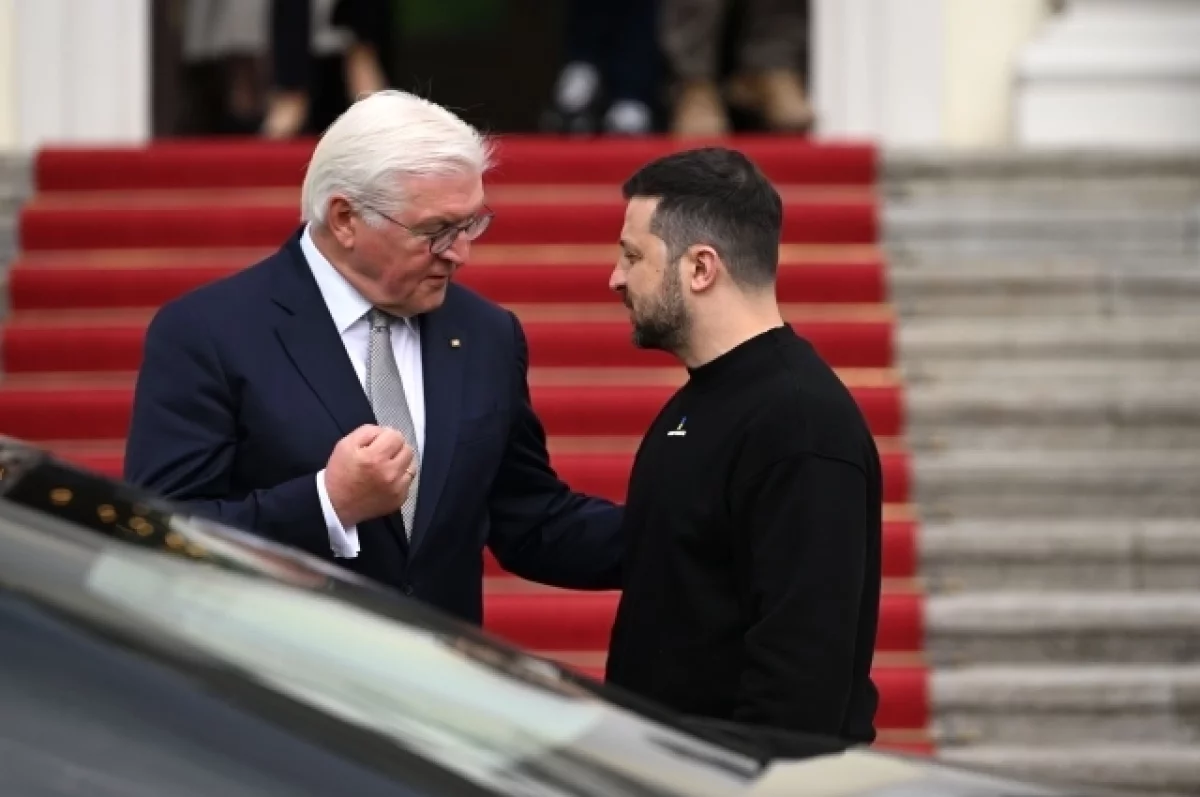 Царев: Штайнмайер мог посоветовать Зеленскому продолжить конфликт